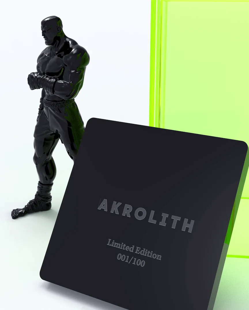 Akrolith Fighter 9-inch Deluxe resin statue with case
