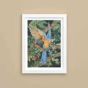 Blue and Yellow Macaw - Lithographic Print