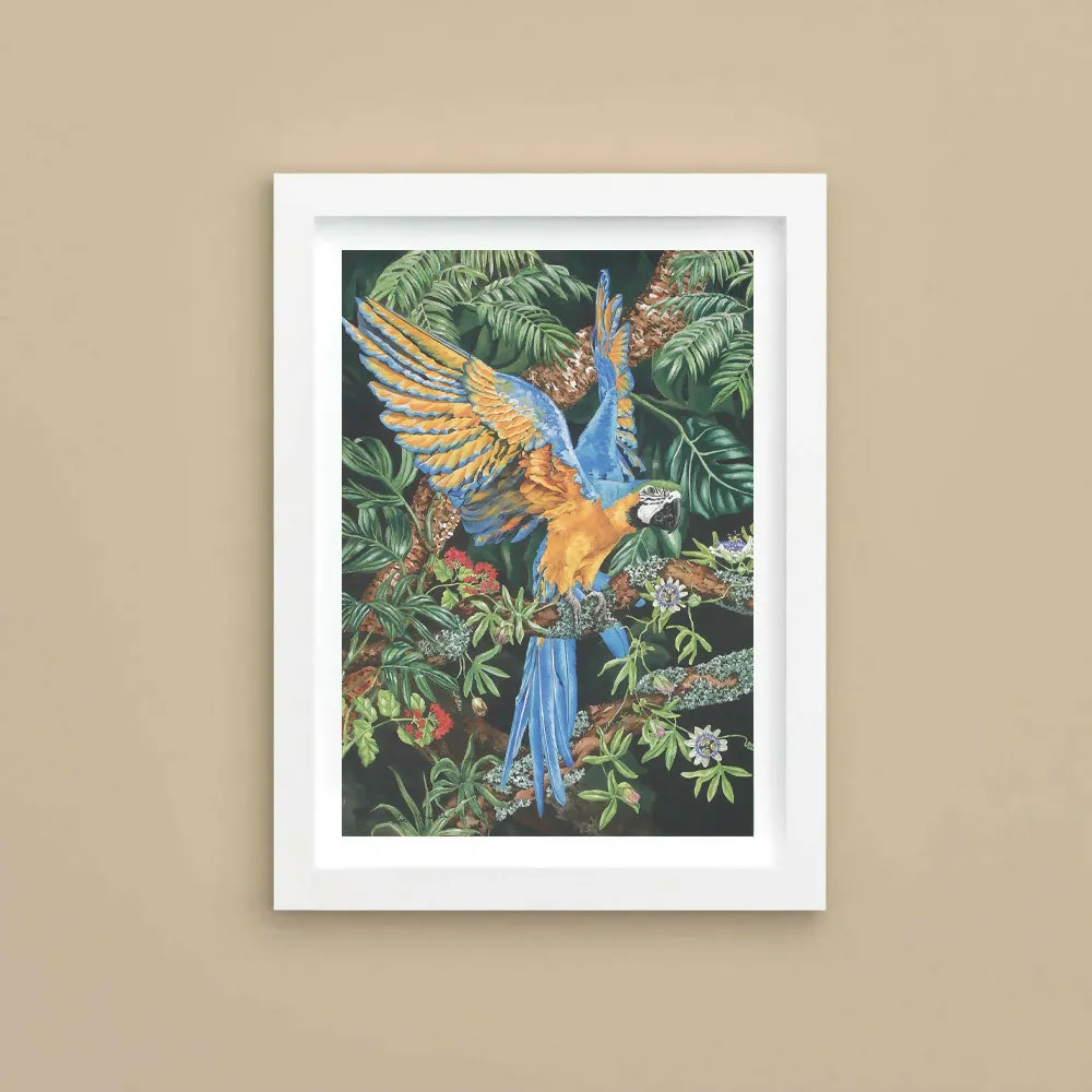 Blue and Yellow Macaw - Lithographic Print