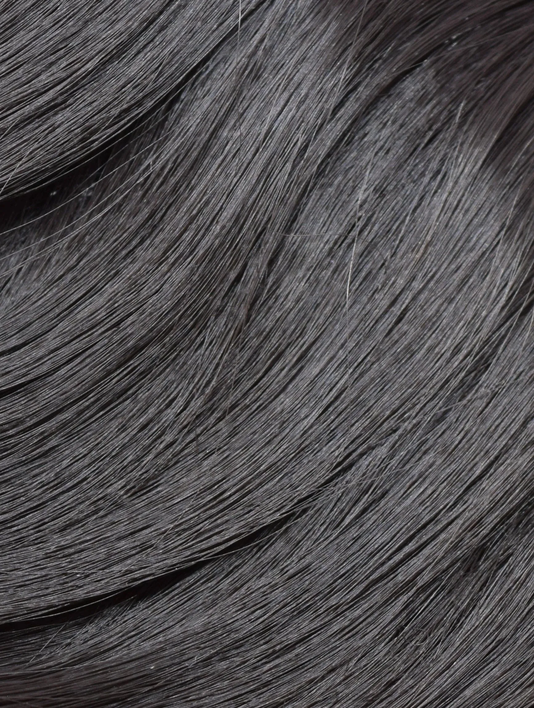 Kym : 22" Wrap around ponytail