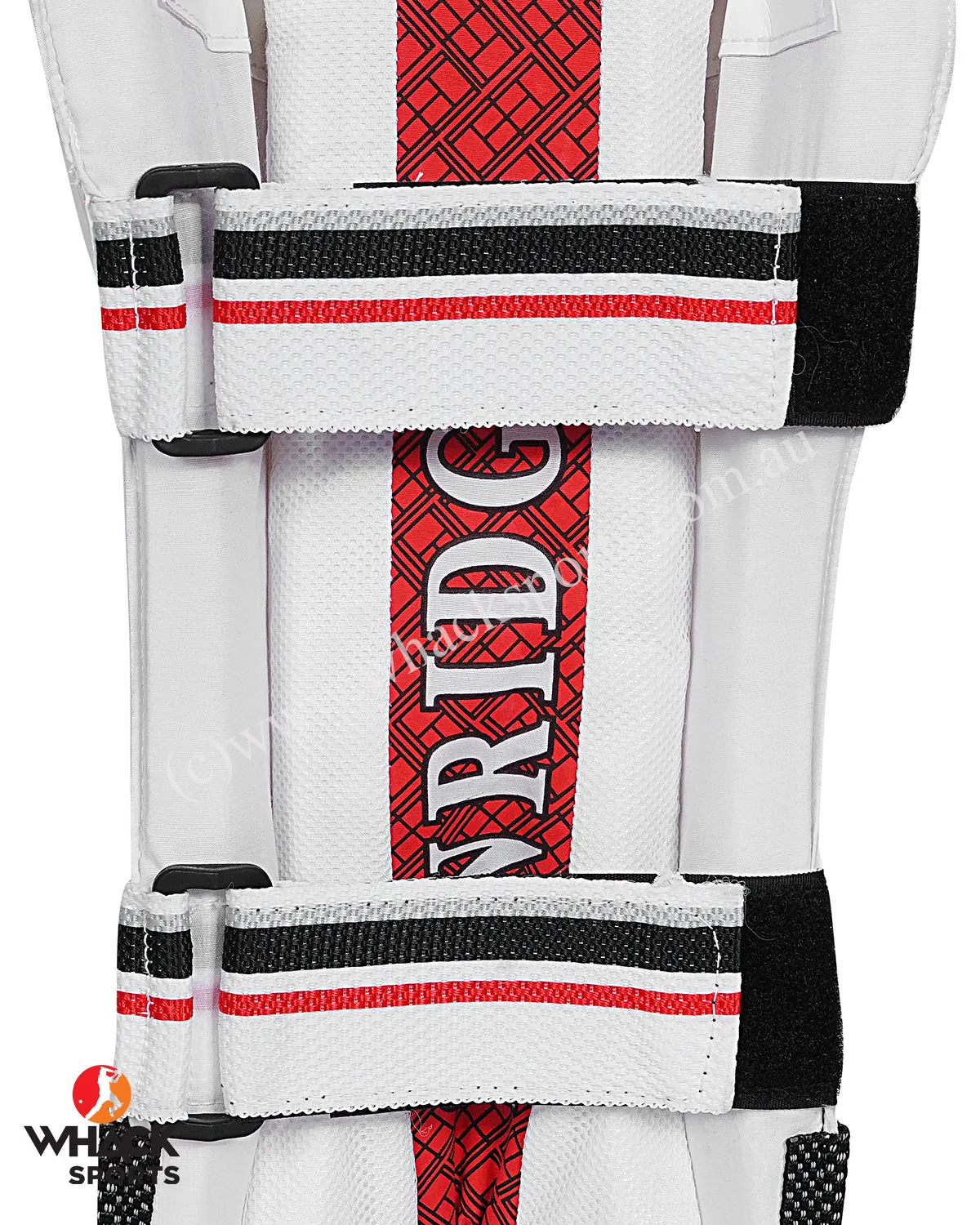 SS Limited Edition Cricket Keeping Pads - Youth