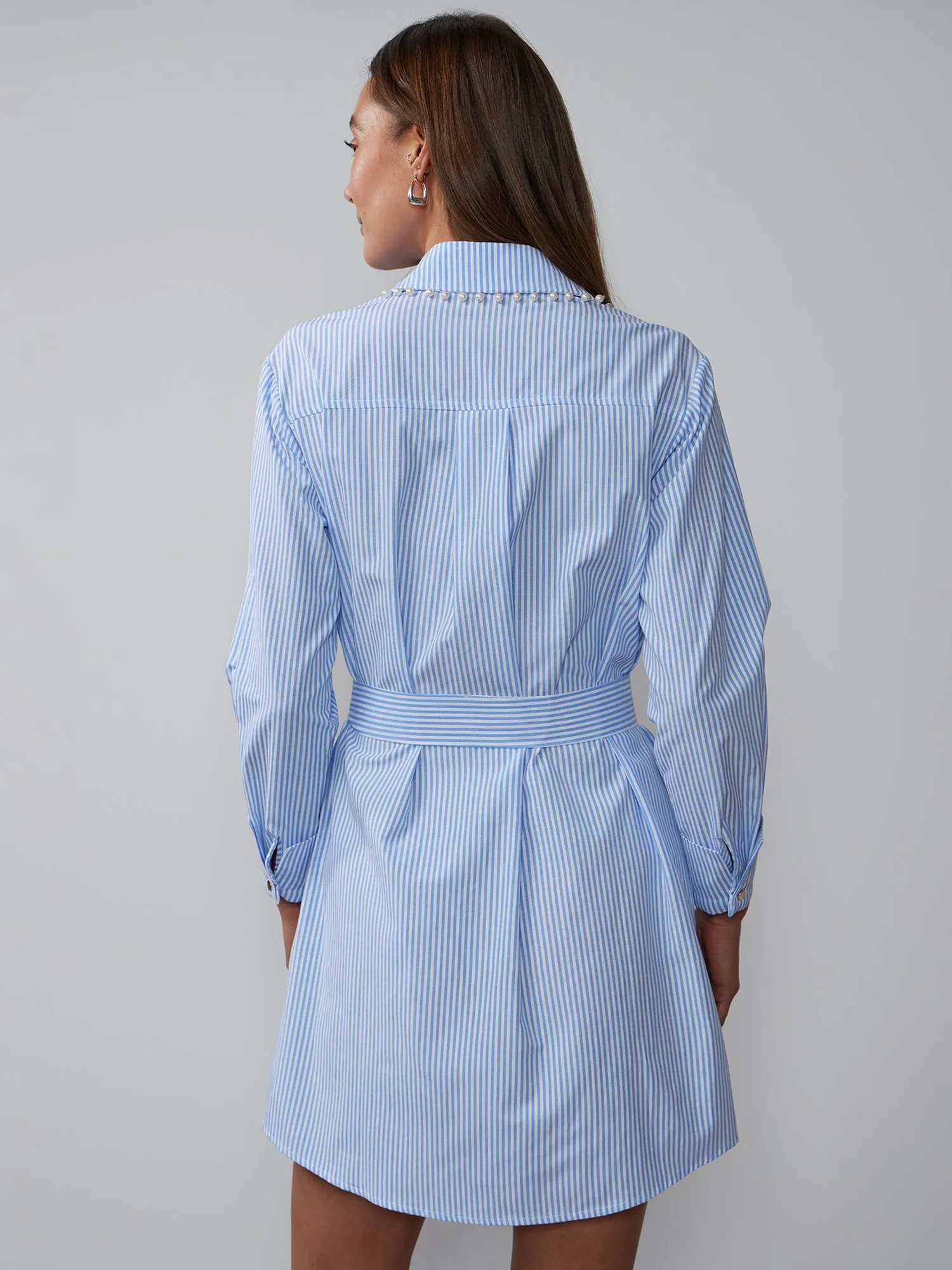 Striped Pearl Trim Poplin Shirt Dress